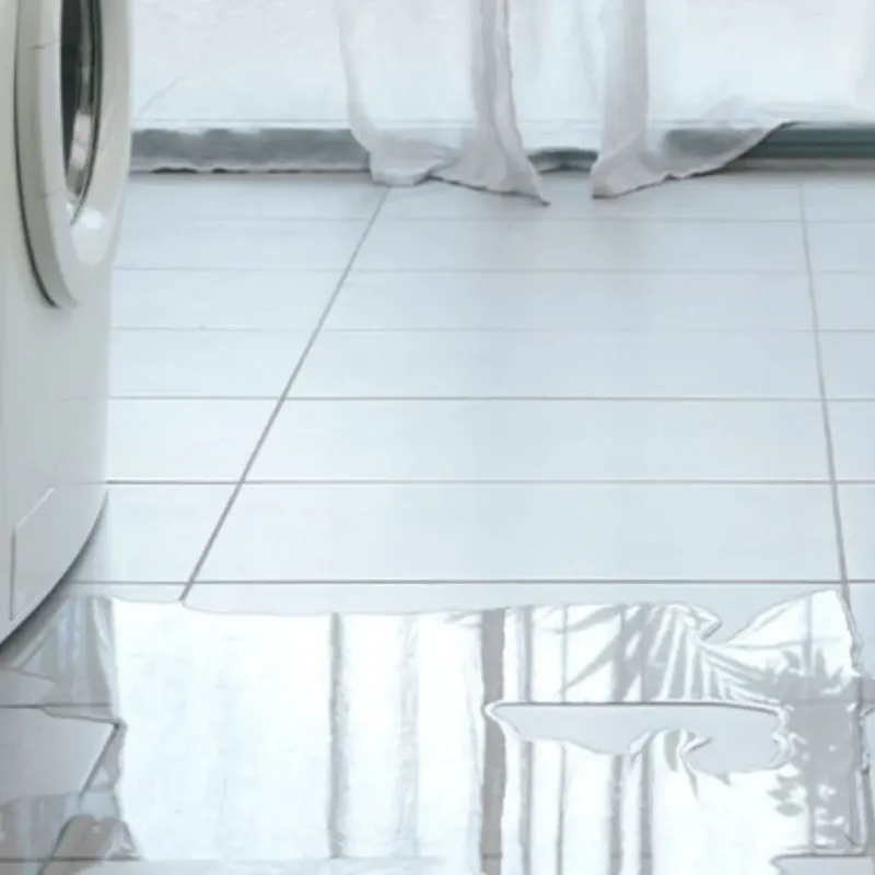 Appliance Leak Cleanup in Polk County, MN