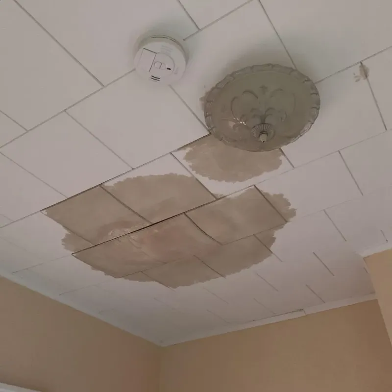 Ceiling Water Damage Repair in Polk County, MN