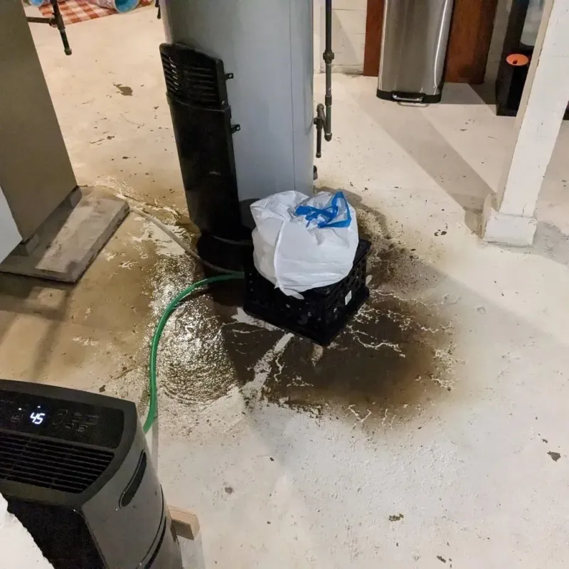 Sewage Backup Cleanup Service in Polk County, MN